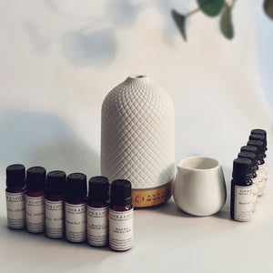 EcoPod Deluxe + Set of L&L Essential Oil Blends 1-12 in NEW Premium Gift Box