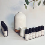 EcoPod Deluxe + free Set of L&L Essential Oil Blends 1-12